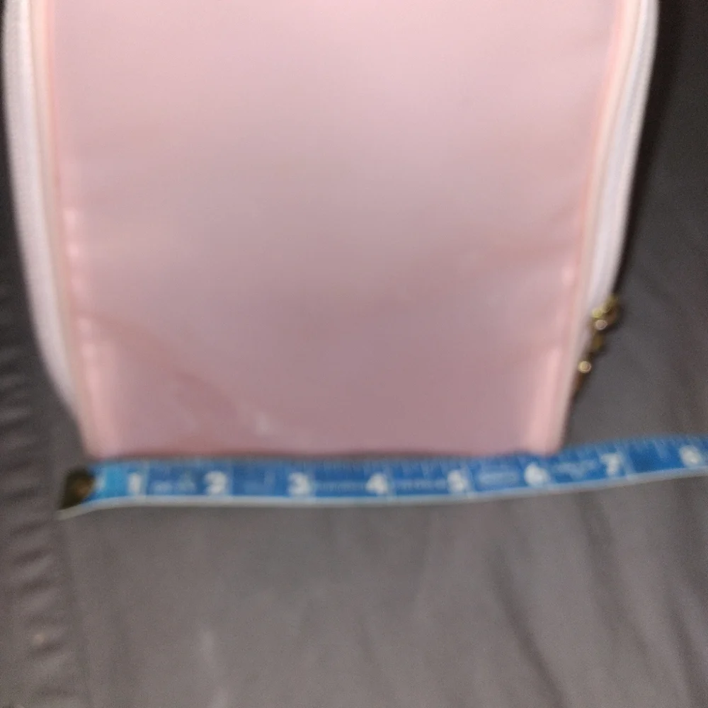 Christian Dior pink jelly pouch